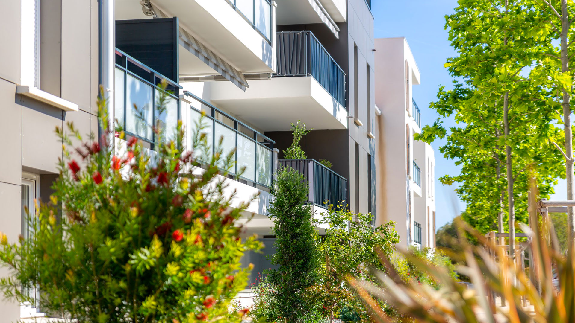 appartement à louer arnex sur nyon   12