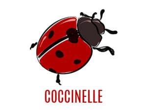Coccinelle