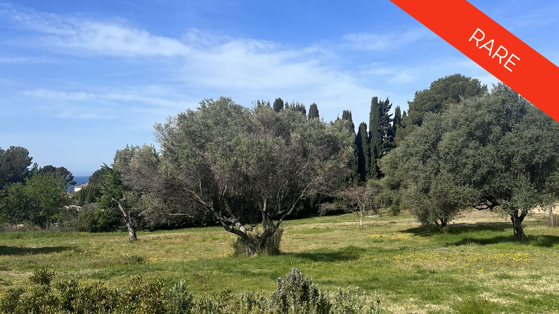 vente terrain Sanary sur Mer 83110